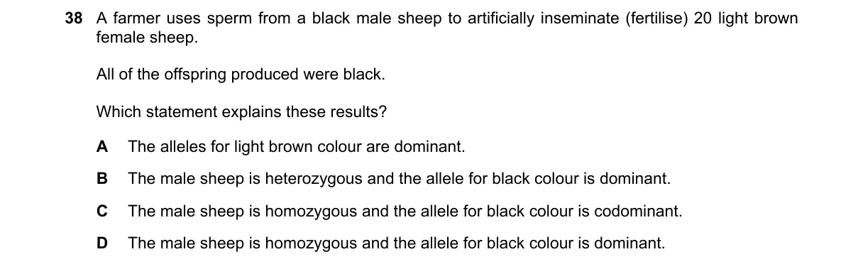 Question 38 from 5090/12/M/J/20