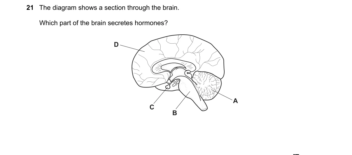 Question 21 from 5090/11/M/J/21
