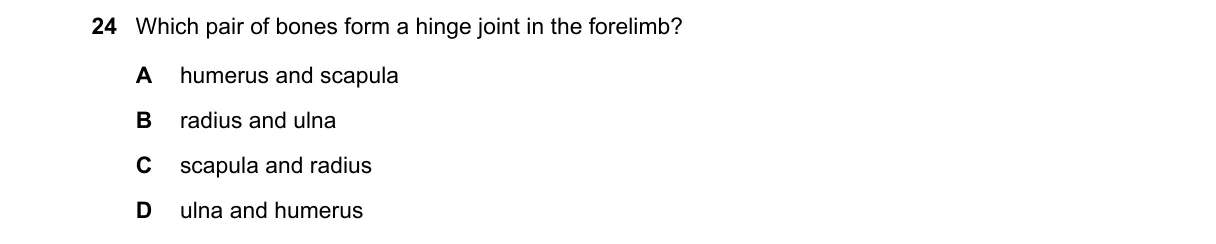 Question 24 from 5090/11/M/J/21