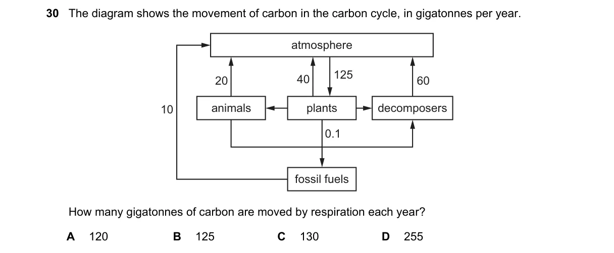 Question 30 from 5090/11/M/J/21