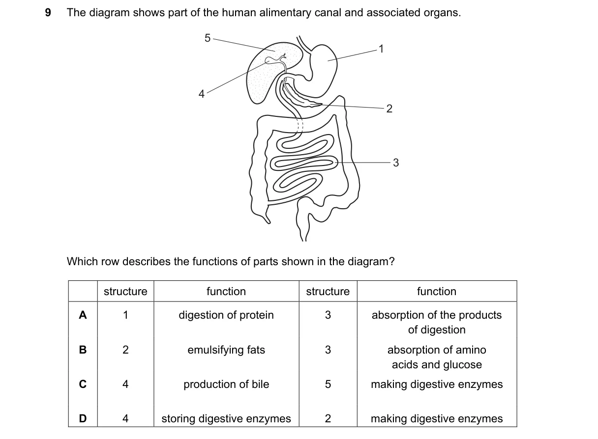 Question 9 from 5090/11/M/J/21