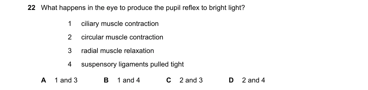 Question 22 from 5090/12/M/J/21