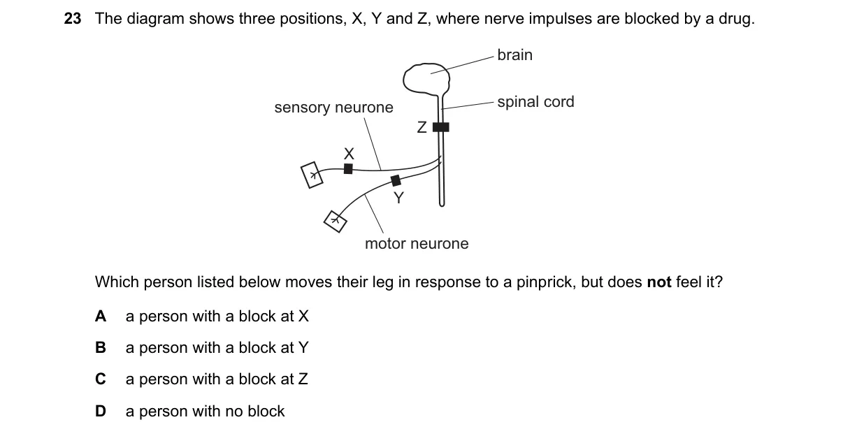 Question 23 from 5090/12/M/J/21