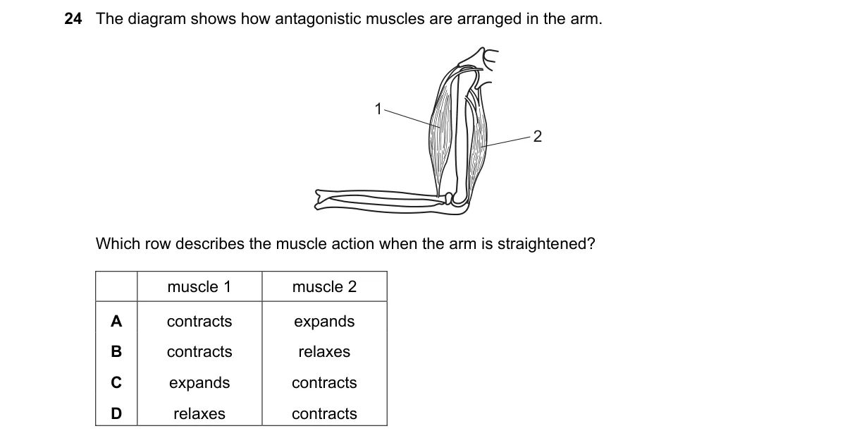 Question 24 from 5090/12/M/J/21