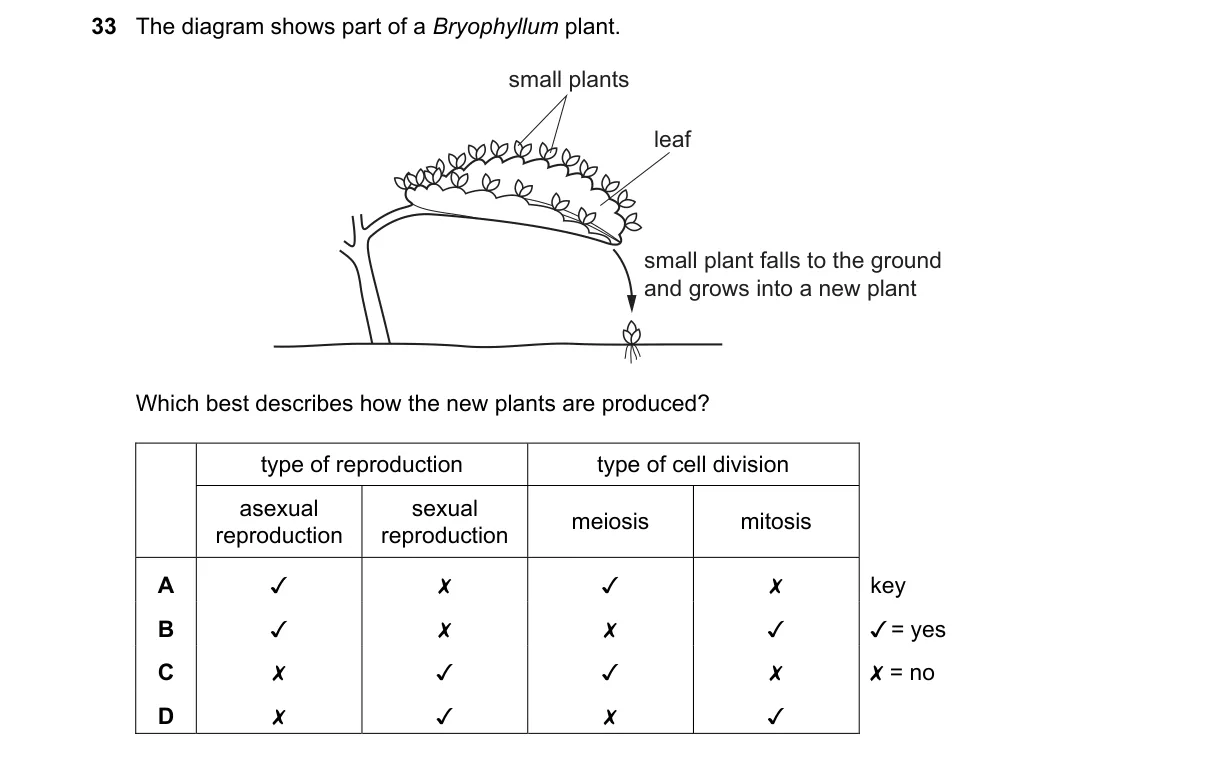 Question 33 from 5090/12/M/J/21