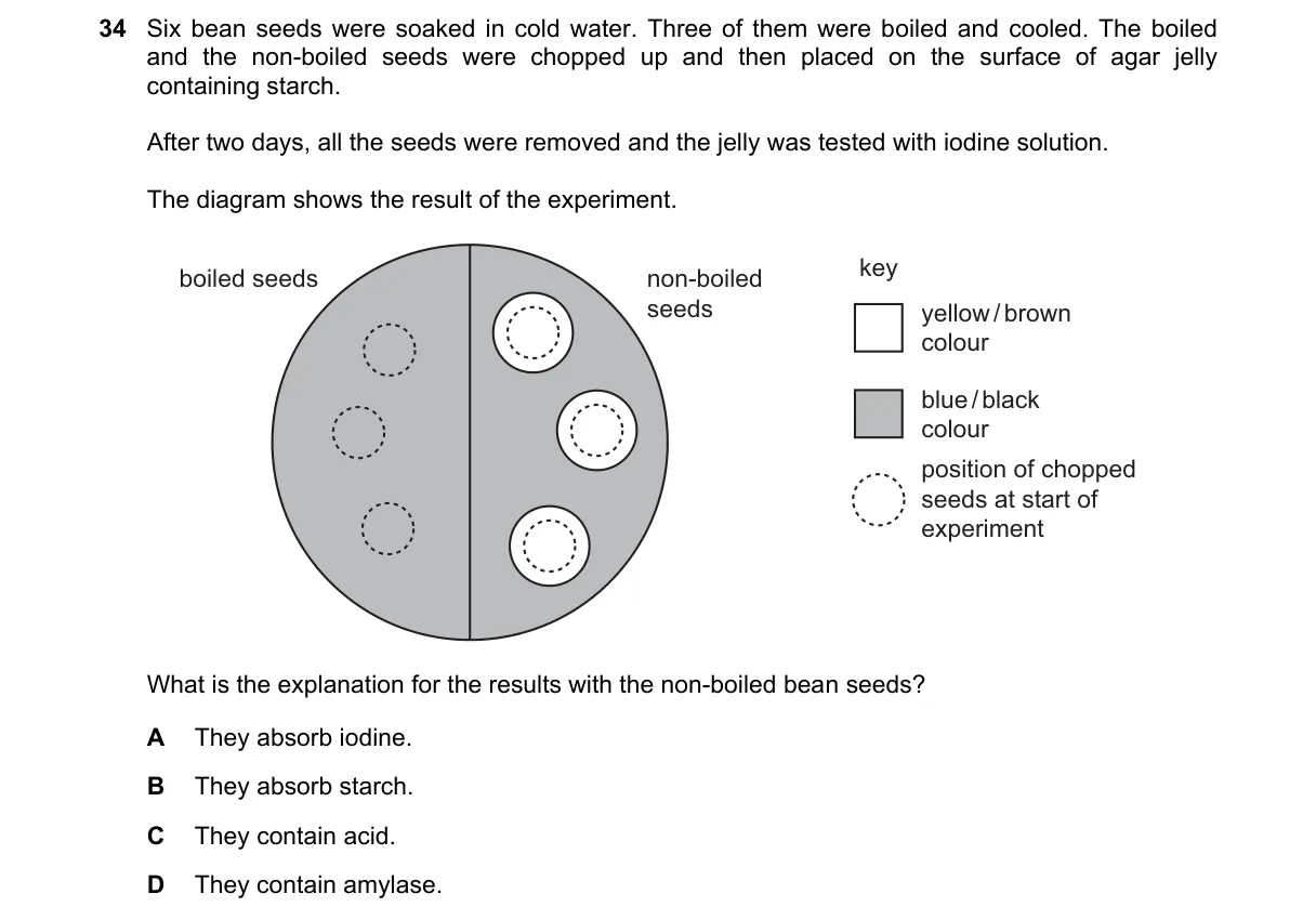 Question 34 from 5090/12/M/J/21