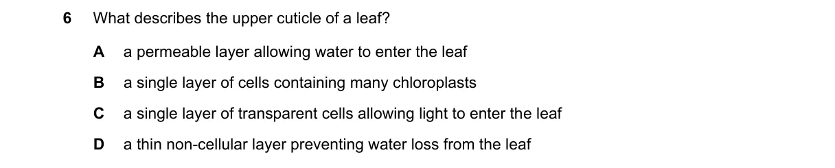 Question 6 from 5090/12/M/J/21