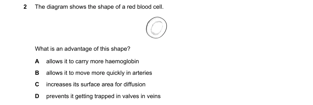 Question 2 from 5090/11/M/J/22