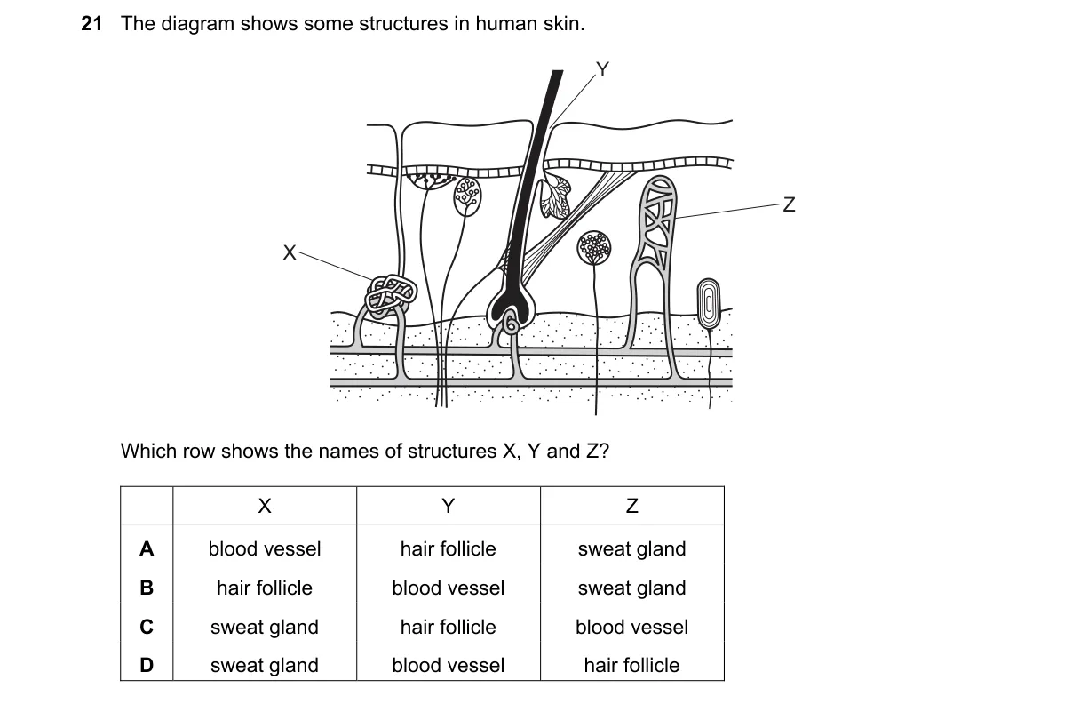 Question 21 from 5090/11/M/J/22
