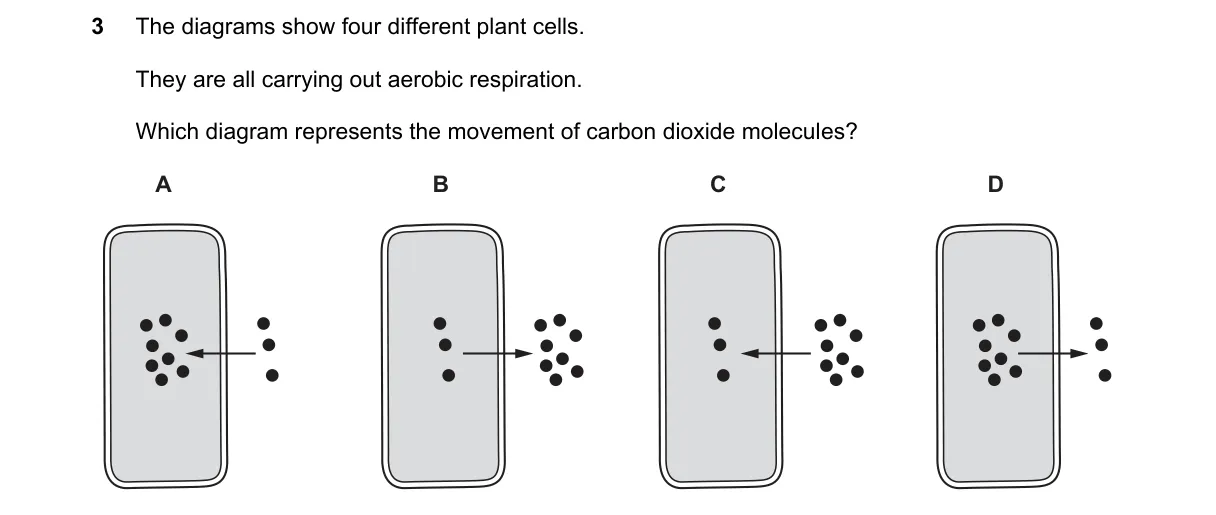 Question 3 from 5090/11/M/J/22