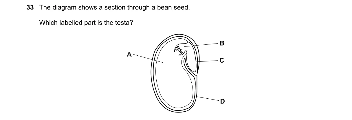 Question 33 from 5090/11/M/J/22