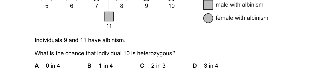 Question 5 from 5090/11/M/J/22