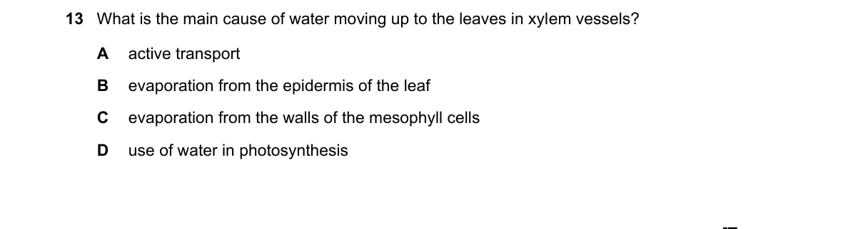 Question 13 from 5090/12/M/J/22