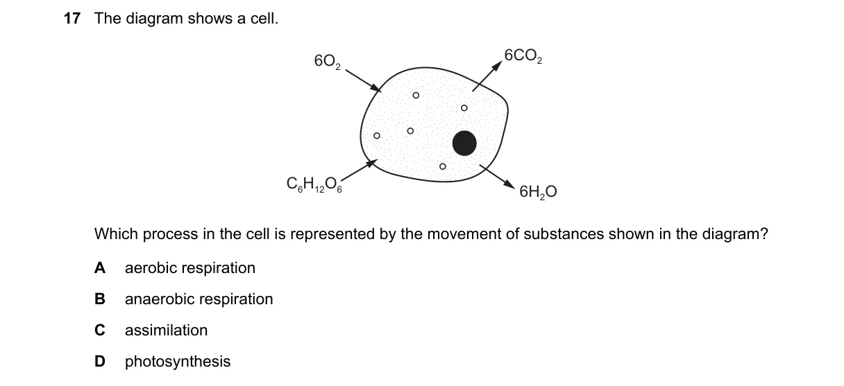 Question 17 from 5090/12/M/J/22
