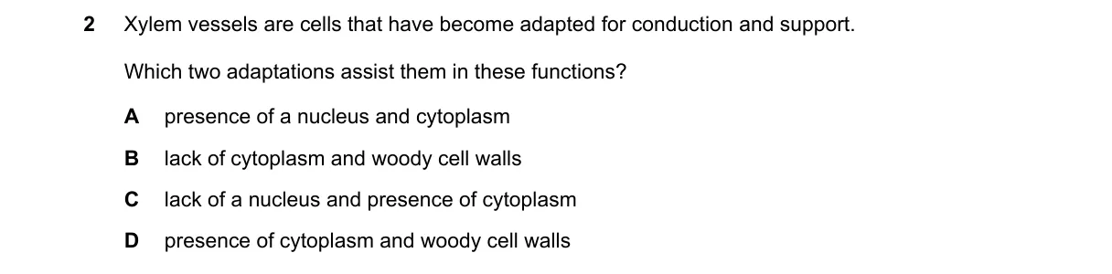 Question 2 from 5090/12/M/J/22