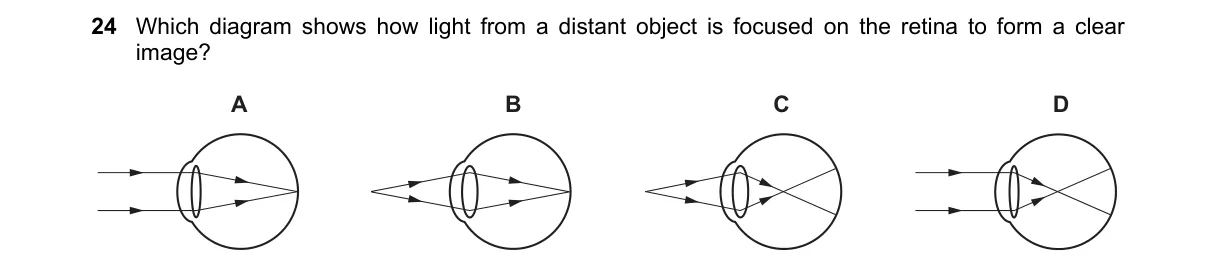Question 24 from 5090/12/M/J/22