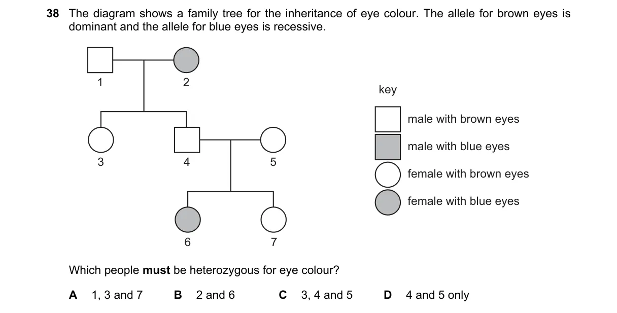 Question 38 from 5090/12/M/J/22
