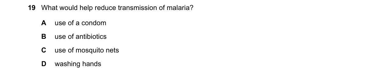 Question 19 from 5090/11/M/J/23