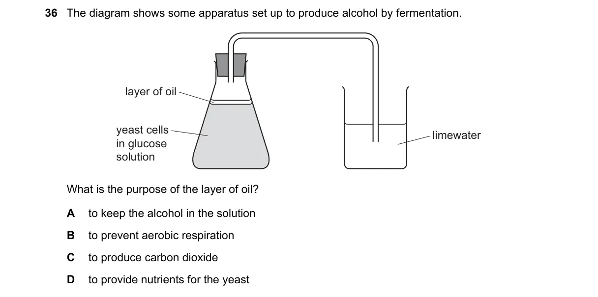Question 36 from 5090/11/M/J/23