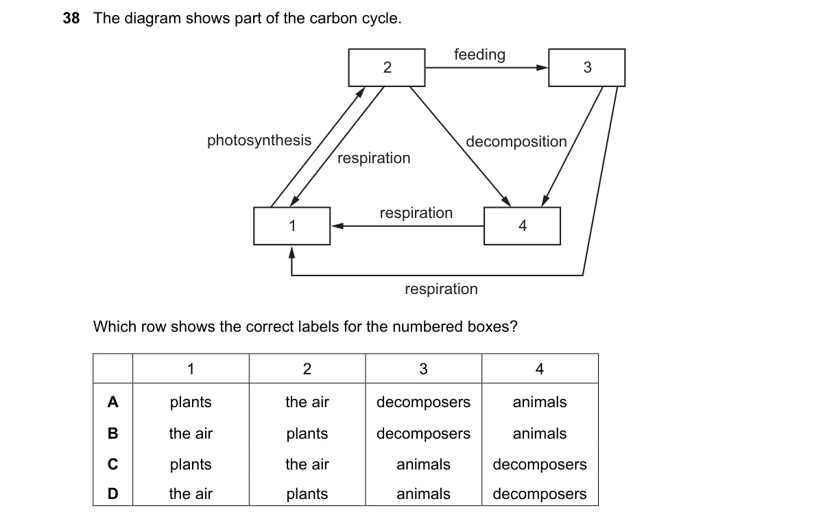 Question 38 from 5090/11/M/J/23