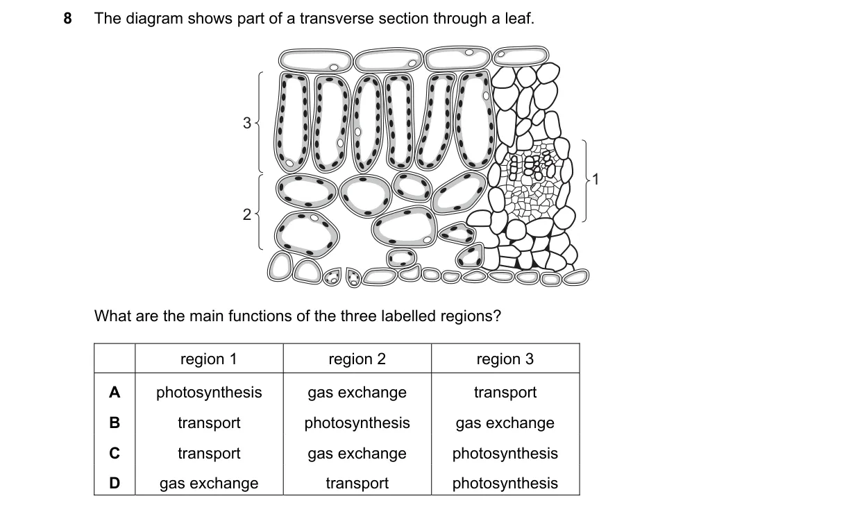 Question 8 from 5090/11/M/J/23