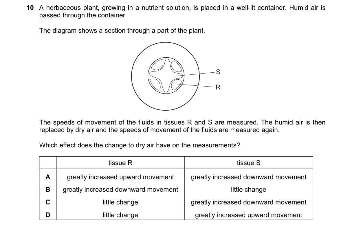 Question 10 from 5090/12/M/J/23
