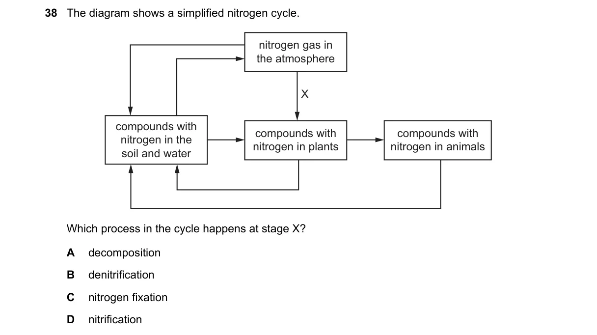 Question 38 from 5090/12/M/J/23