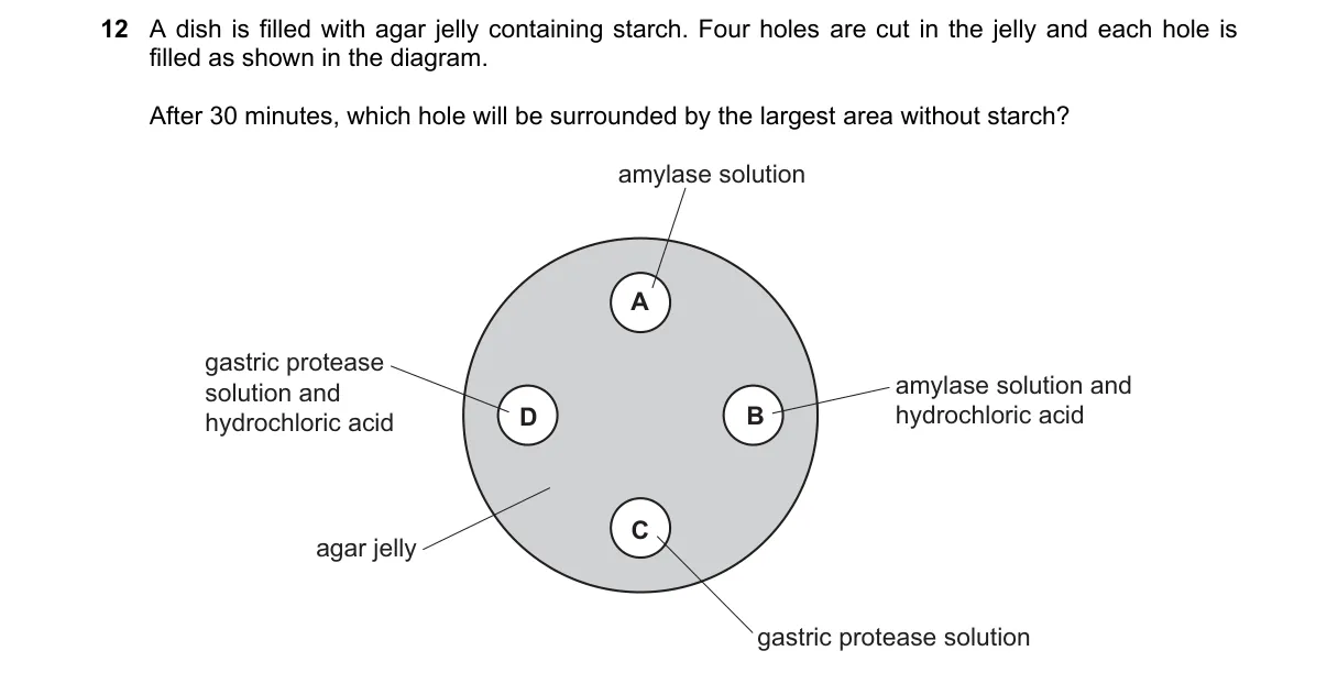 Question 12 from 5090/11/M/J/24