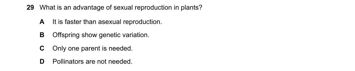 Question 29 from 5090/11/M/J/24