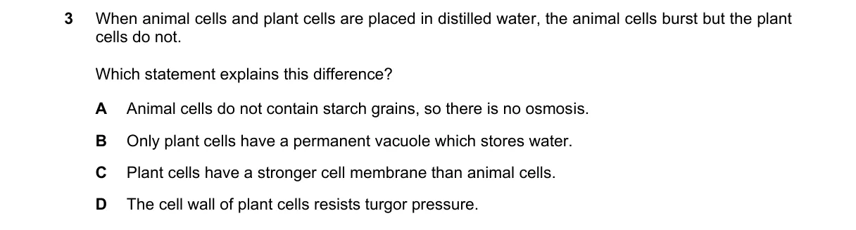 Question 3 from 5090/11/M/J/24