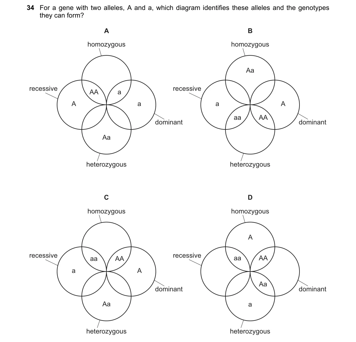 Question 34 from 5090/11/M/J/24