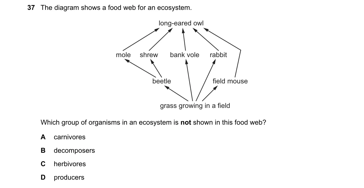 Question 37 from 5090/11/M/J/24