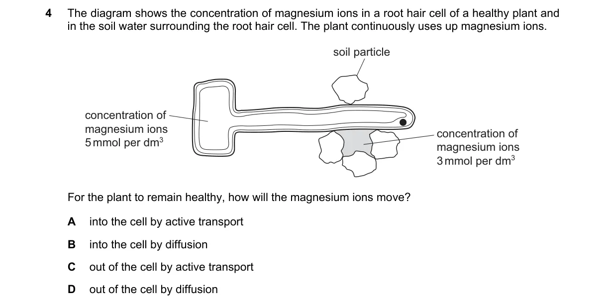 Question 4 from 5090/11/M/J/24
