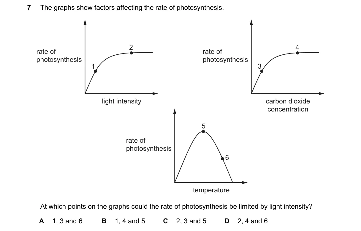 Question 7 from 5090/11/M/J/24