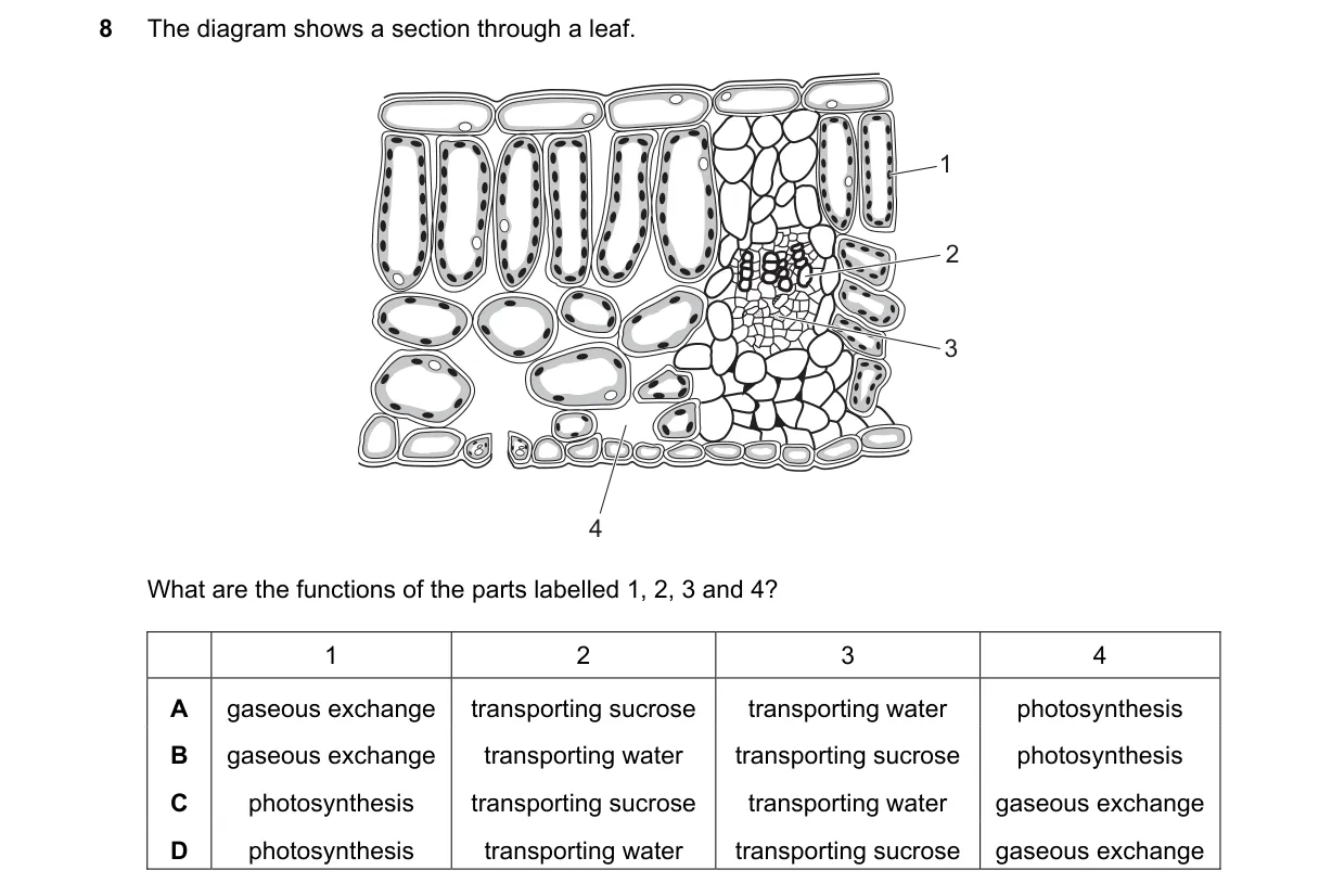 Question 8 from 5090/11/M/J/24