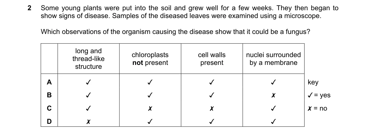 Question 2 from 5090/12/M/J/24