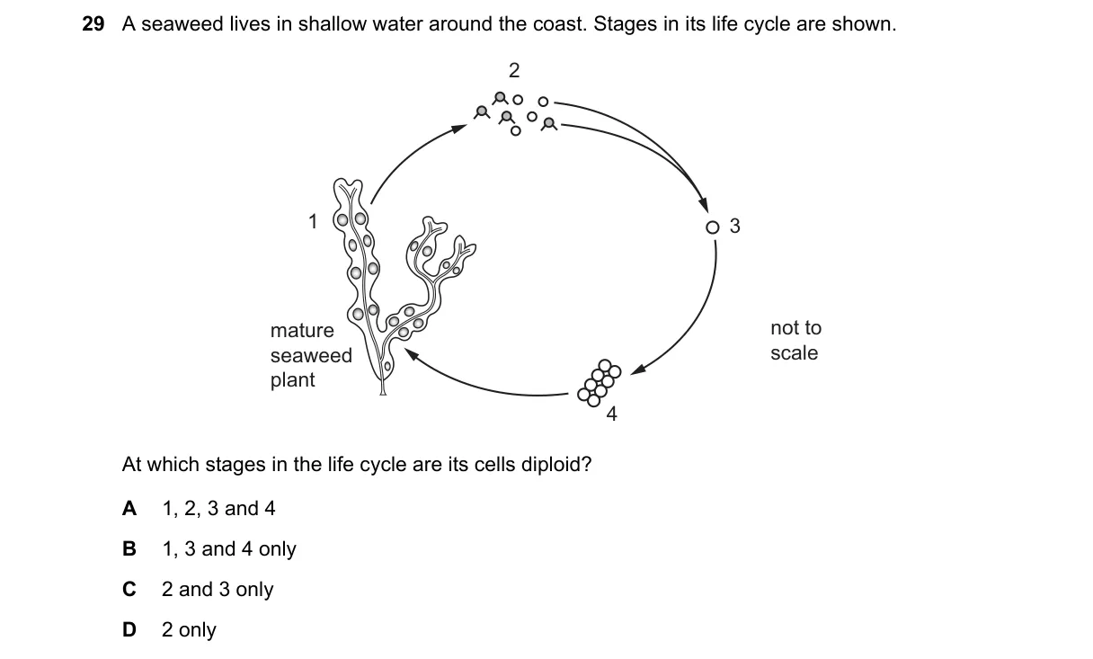 Question 29 from 5090/12/M/J/24