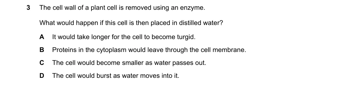Question 3 from 5090/12/M/J/24