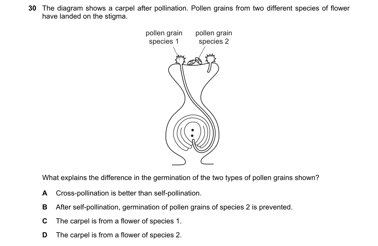 Question 30 from 5090/12/M/J/24