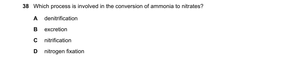 Question 38 from 5090/12/M/J/24
