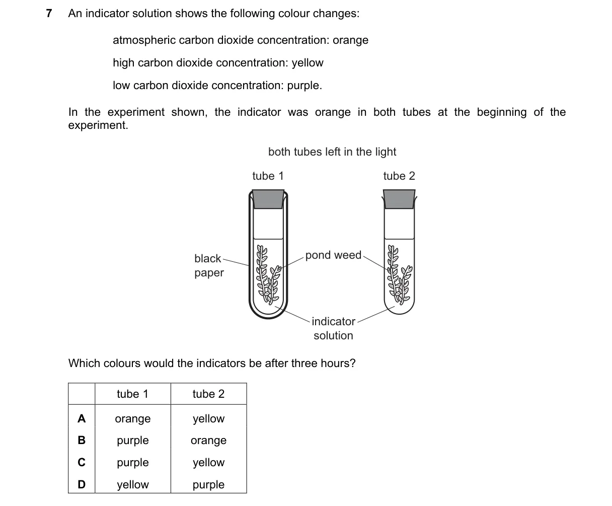 Question 7 from 5090/12/M/J/24