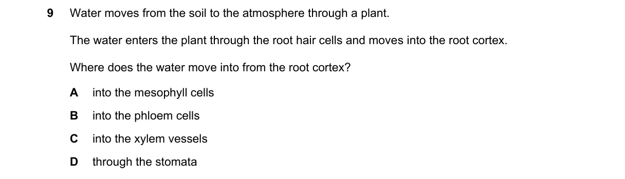 Question 9 from 5090/12/M/J/24