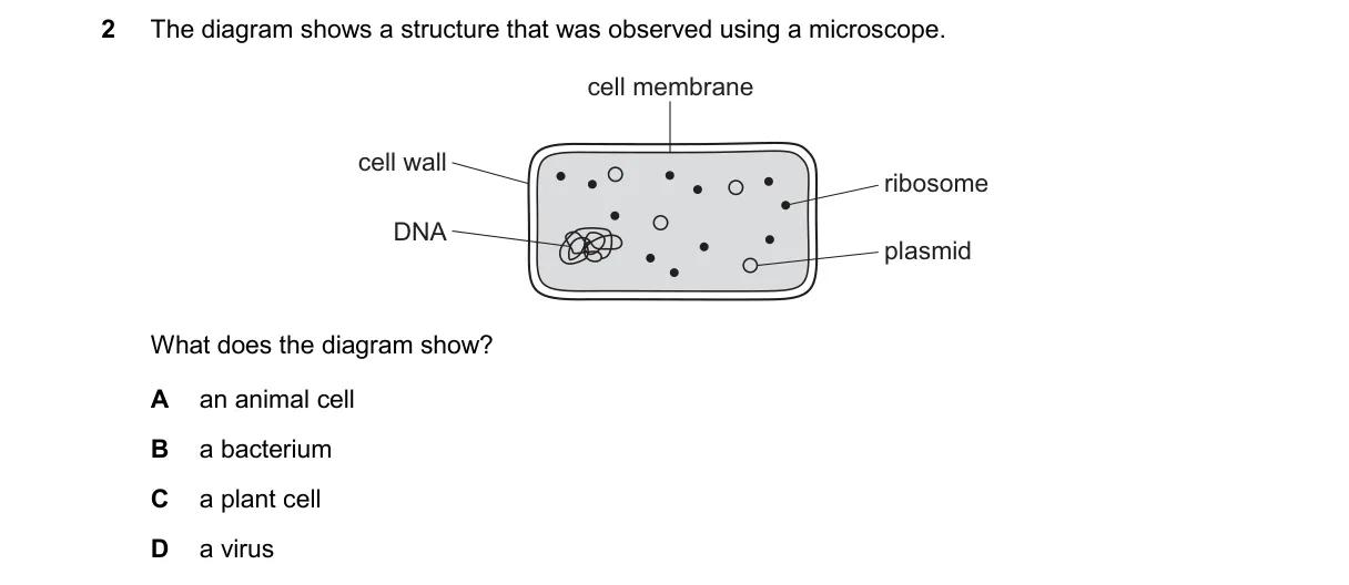 Question 2 from 5090/11/M/J/25
