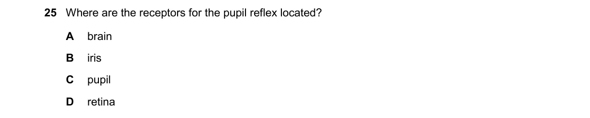 Question 25 from 5090/11/M/J/25
