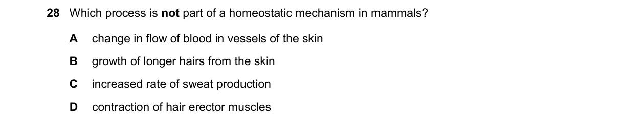 Question 28 from 5090/11/M/J/25