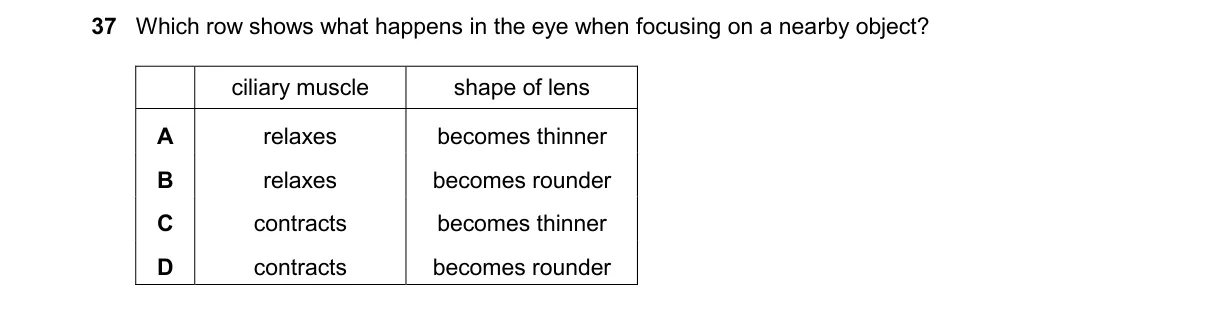 Question 37 from 5090/11/M/J/25