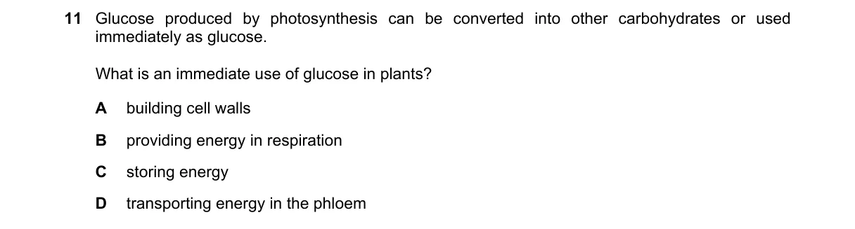 Question 11 from 5090/12/M/J/25