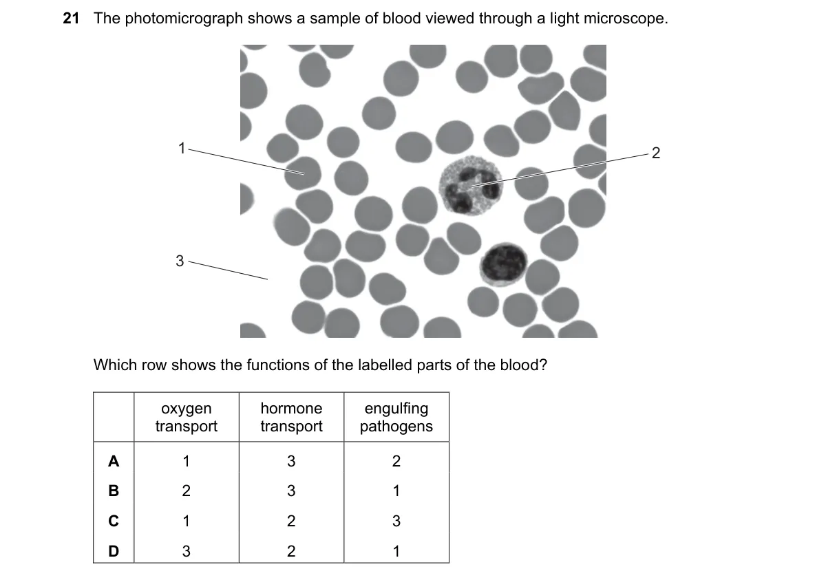 Question 21 from 5090/12/M/J/25
