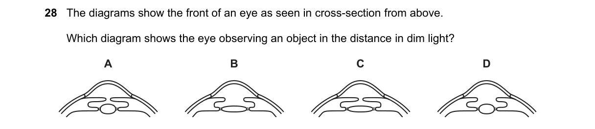 Question 28 from 5090/12/M/J/25