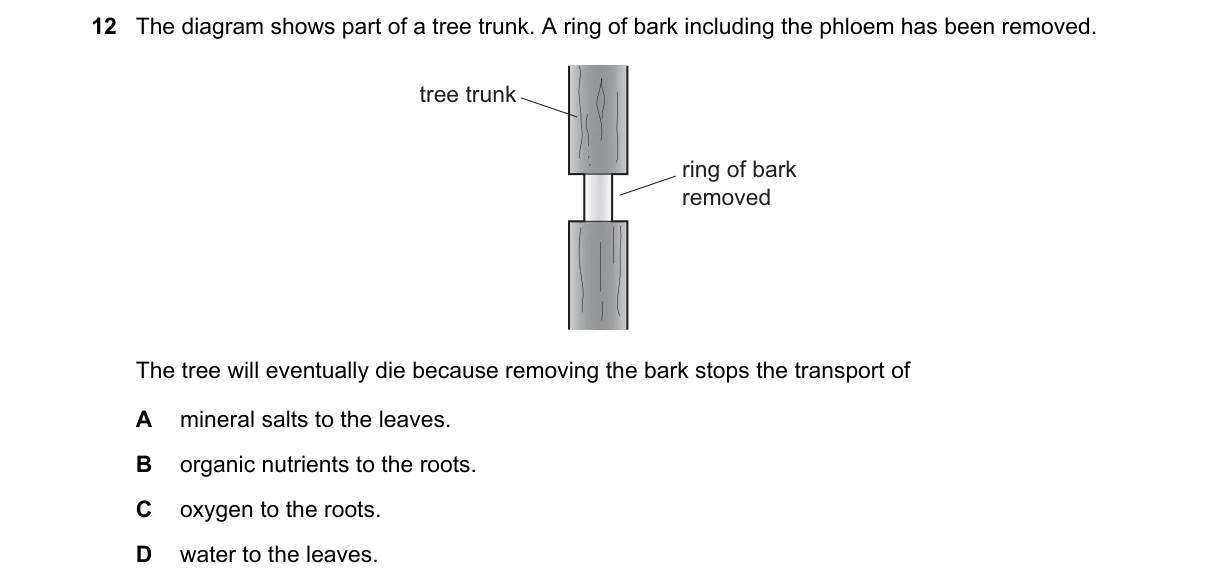 Question 12 from 5090/11/O/N/18